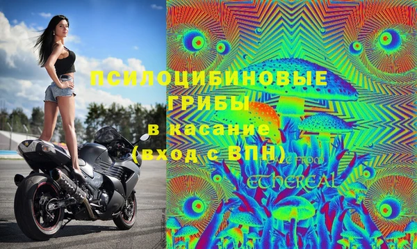 СК Арсеньев